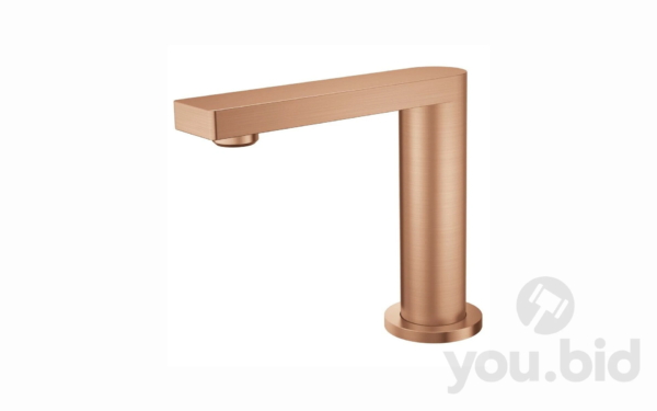 MONDELLA Signature Basin Spout in Brushed Rose Gold you.bid - Online Auctions Australia